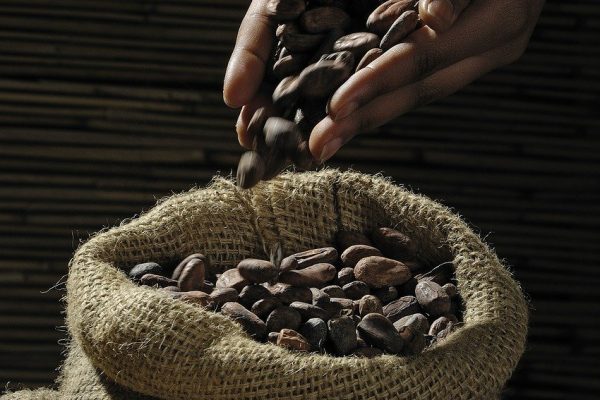 cocoa-beans-499970_1280